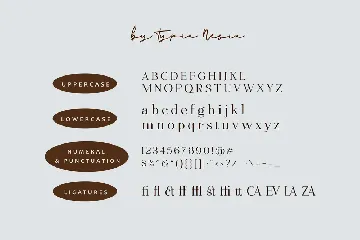 Gizacake - Elegant and Fancy Modern Serif font