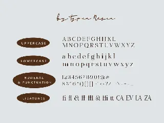 Gizacake - Elegant and Fancy Modern Serif font