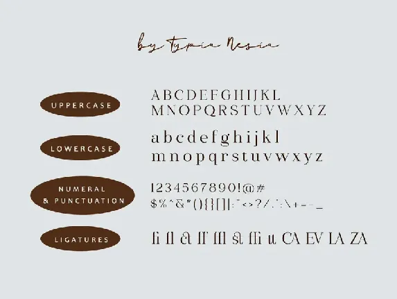 Gizacake - Elegant and Fancy Modern Serif font