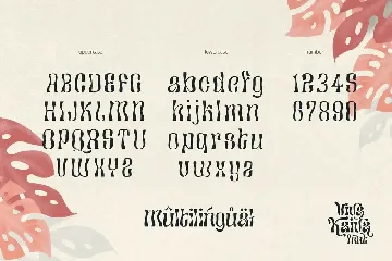 Viva Kaiva - Psychedelic Font