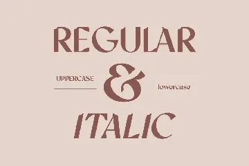 Vintage Sans Serif Font