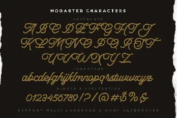 The Mogaster - Monoline Script font