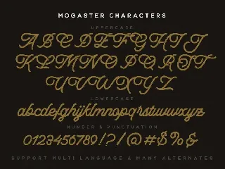 The Mogaster - Monoline Script font