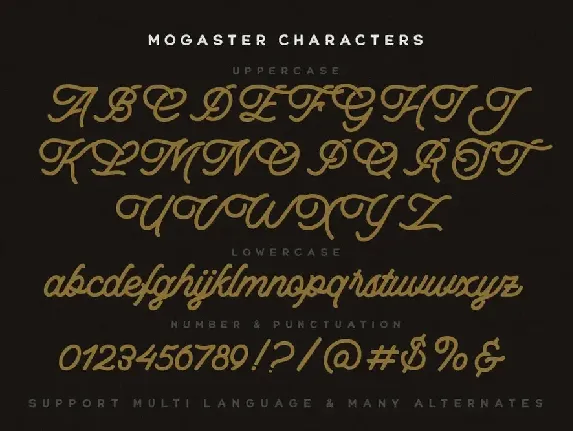 The Mogaster - Monoline Script font