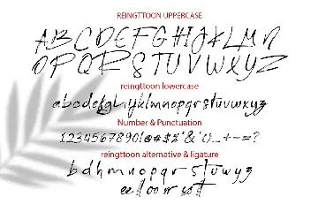 Reingttoon Handwritten Font