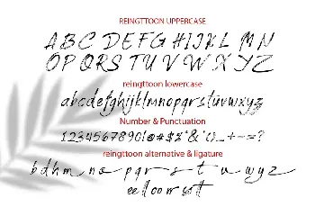 Reingttoon Handwritten Font