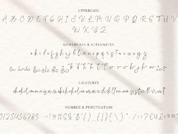 Bella Signature font