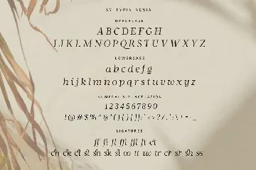 Grace Queen - Beauty Stylish Italic Font