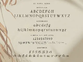 Grace Queen - Beauty Stylish Italic Font