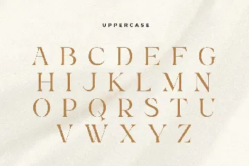 Kumar - Unique Beauty Serif Font