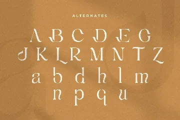 Kumar - Unique Beauty Serif Font