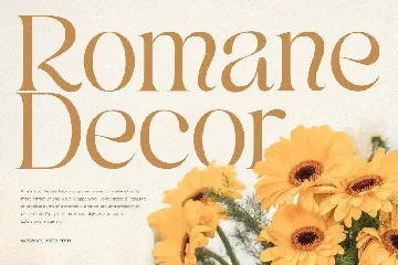 Kumar - Unique Beauty Serif Font