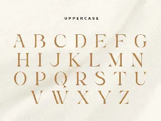 Kumar - Unique Beauty Serif Font