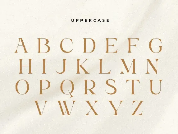 Kumar - Unique Beauty Serif Font