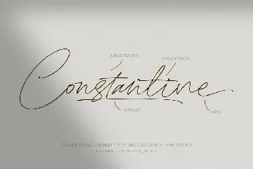 Clandestine Script font