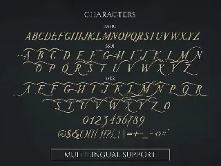 Portalica - Elegant Serif Font