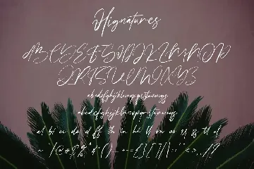 Hignatures Signature Brush Font