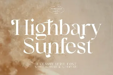 Highbary Sunfest Classy Serif Font