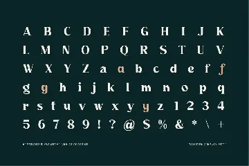 Vintage Modern Font - Maginte