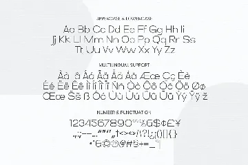 Reynard font