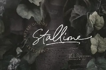 Mellodate - Signature Script font