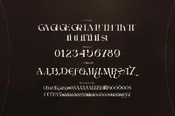 Qriyan - A Unique Serif Typeface font