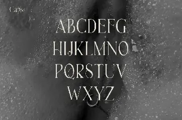 Wakisu - Elegant Sans-Serif font