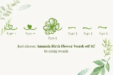 Amanda Birth Flower - An Ornament Script Font