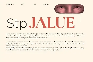 Stiepa | Modern Serif & Bonus Sans font