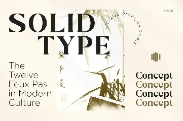 Stiepa | Modern Serif & Bonus Sans font