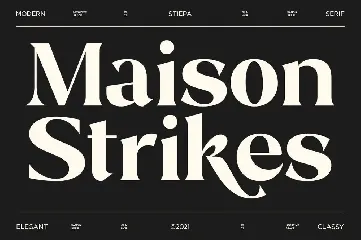 Stiepa | Modern Serif & Bonus Sans font