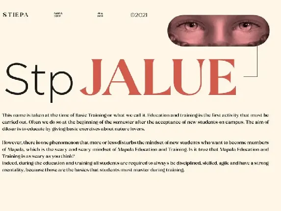 Stiepa | Modern Serif & Bonus Sans font