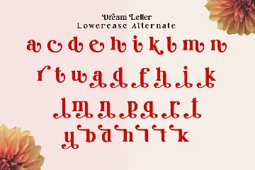 Dream Letter, Display Serif Font