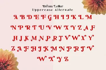 Dream Letter, Display Serif Font