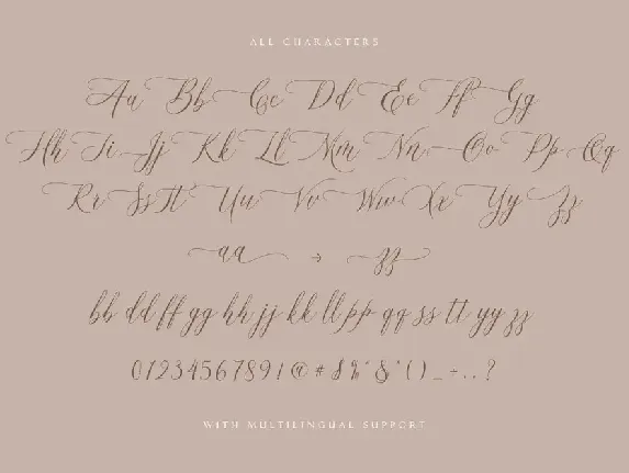 Hallmarks - Beautiful Calligraphy font