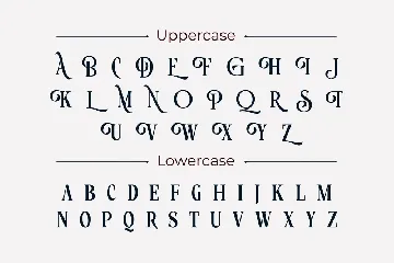 Roystorie Display Serif font