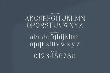 Sea Constange - Modern Unique Serif Font