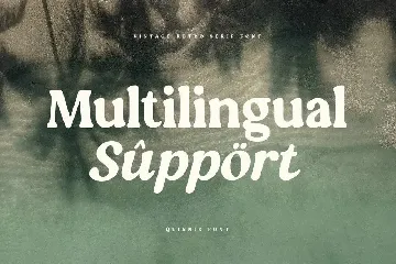 Quinnie - Vintage Retro Serif Font