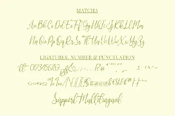 Matcha - A Script Font