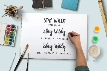 Stay Wildy font