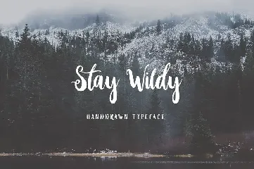 Stay Wildy font