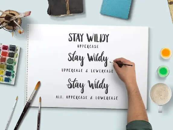 Stay Wildy font