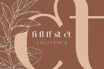 Houstiq - Elegant Luxury Sans font