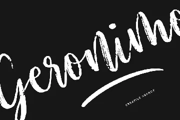 Plumeria Brush Script Font