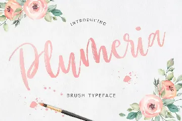 Plumeria Brush Script Font