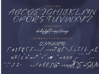 Penttanylon Modern Signature Font