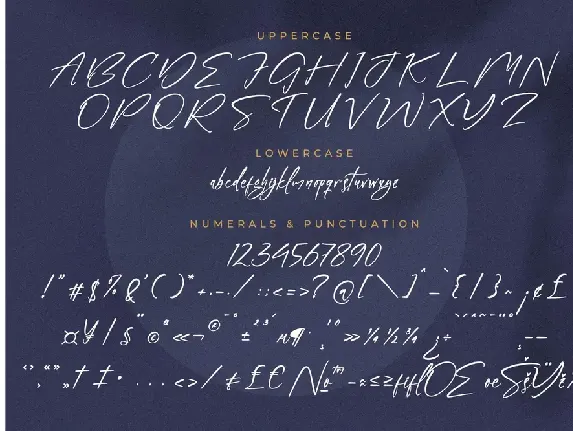 Penttanylon Modern Signature Font