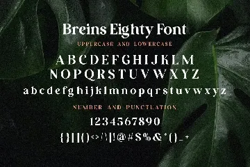 Breins Eighty Serif Font