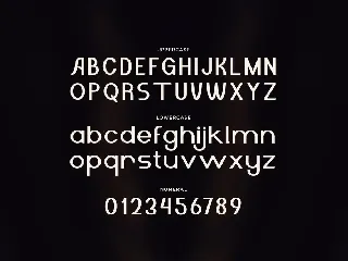 Alssential - A Unique Sans Serif Typeface font