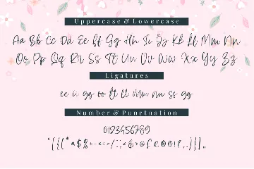 Alyssum - A Script Font